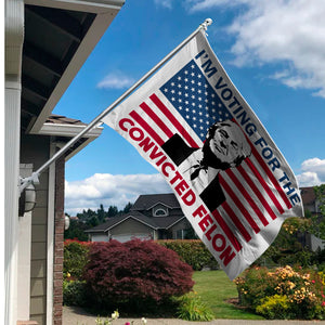I'm Voting For The Convicted Felon House Flag TH10 62851
