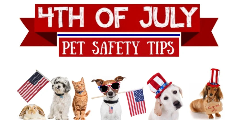 July 4th Pet Safety Guide: How To Keep Your Dog & Cat Safe During America's Biggest Birthday Celebration 🇺🇸🐾