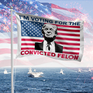 I'm Voting For The Convicted Felon House Flag TH10 62851