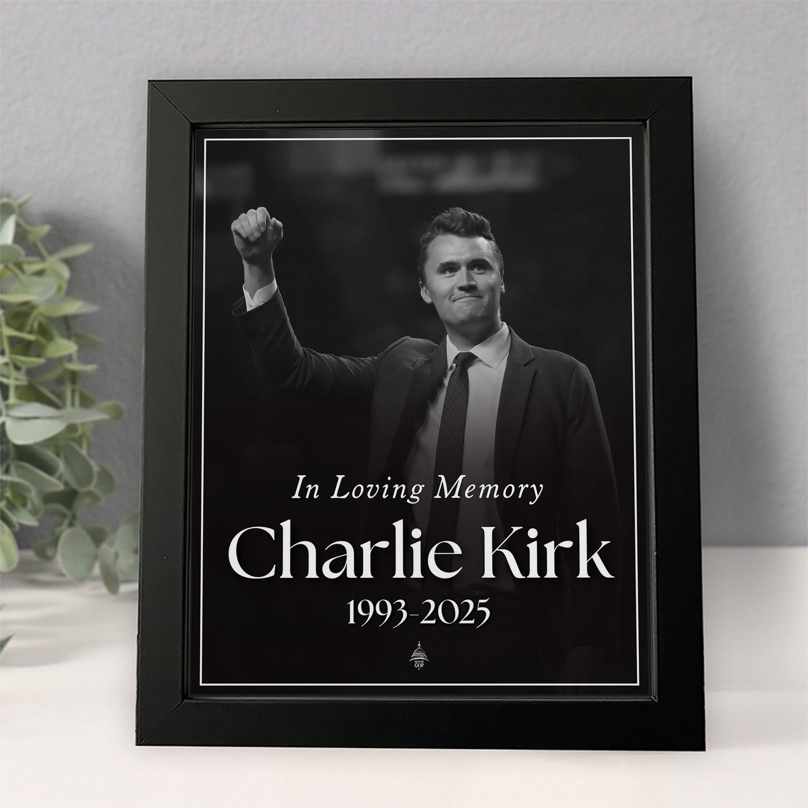 Charlie Kirk Free Speech Hero Picture Frame HO82 65804