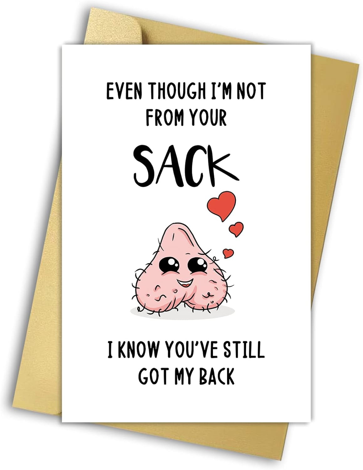 Funny Bonus Dad Card for Fathers Day,Rude Greeting Card for Dad,Step Father Gifts from Stepdaughter Stepson,Stepdad Birthday Card,Even Though I’M Not from Your Sack Card
