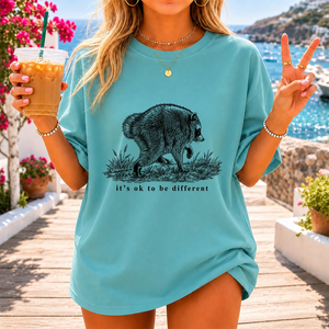Jimothy Raccoon Comfort Shirt, Famous Seattle Raccoon Shirt Funny Animal Gift CH07 180240
