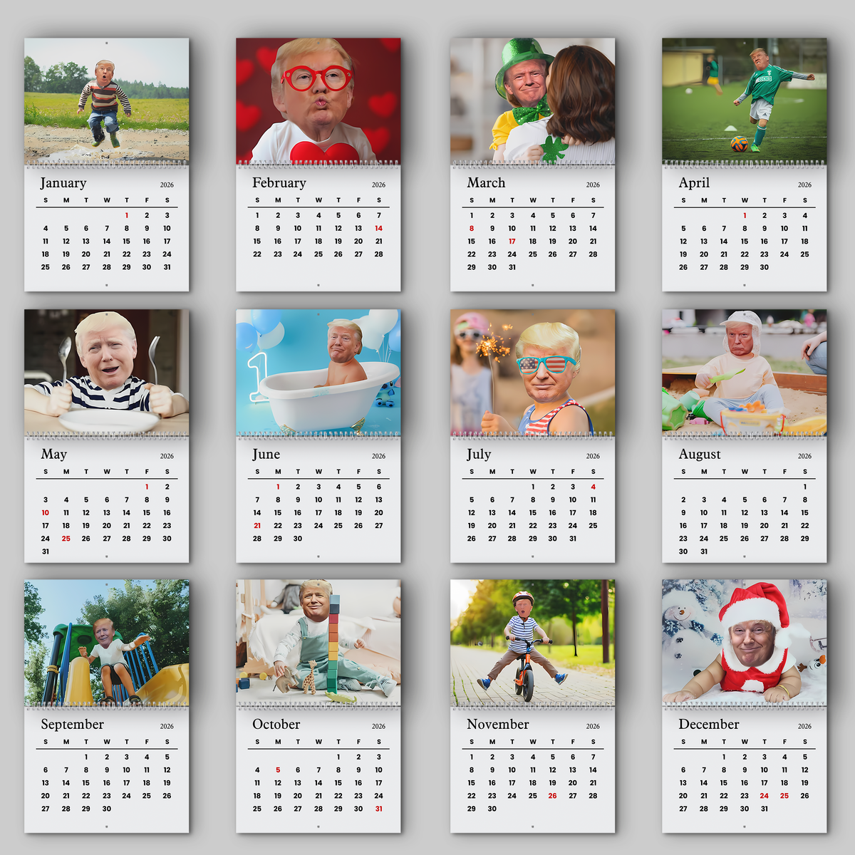 Trump Tiny Wall Calendar Funny Trump 2026 Calendar CH07 67686