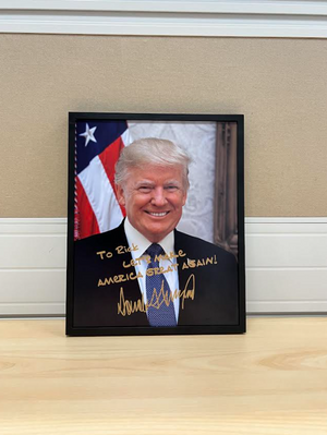 President Donald Trump Photo Airframe TH10 63579