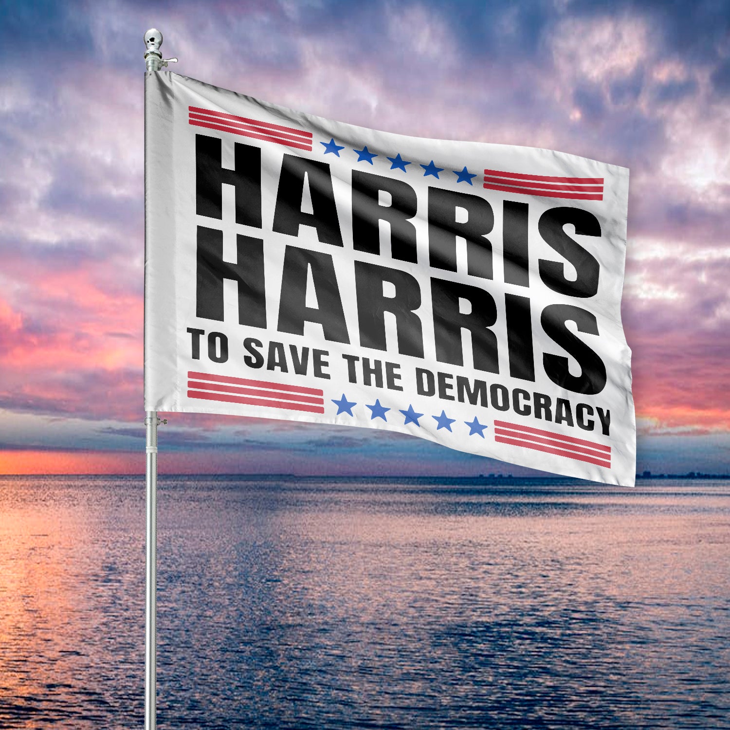 Harris Harris To Save Democracy House Flag TH10 63395