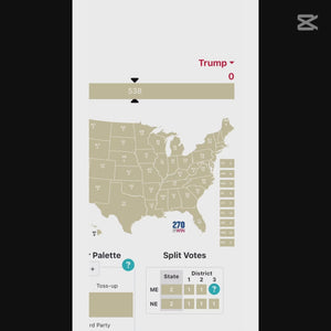 Donald Trump Wins Election Results Picture Frame HO82 65270